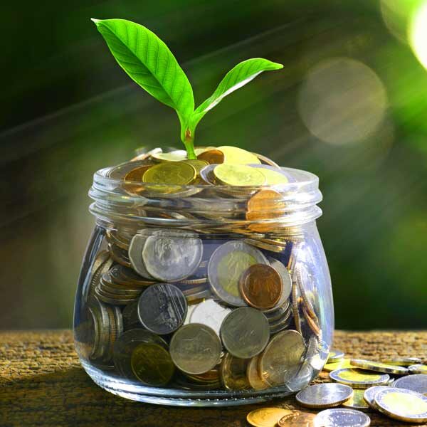 profitability Green Shoot Growing in a Jar of Coins